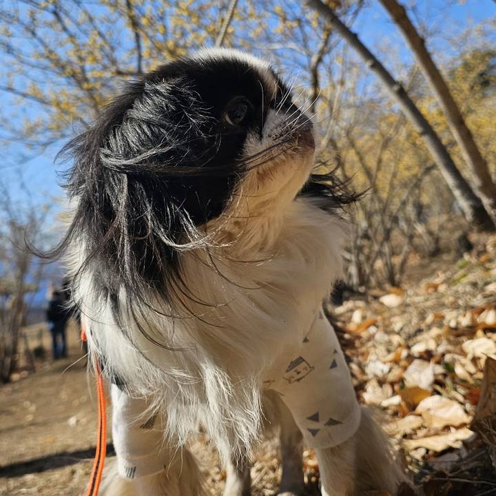 0068d7af d991 4637 958d 777117ed75eb 1738297219419