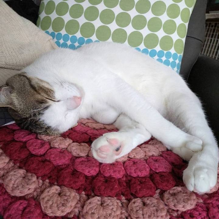 0069295a e7a8 4248 92de 91e98576ff89 1746020803175