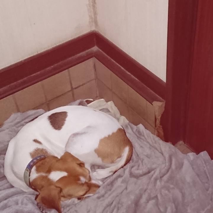 00692d5a 144b 4878 8028 6266f6c510ae 1571061990737