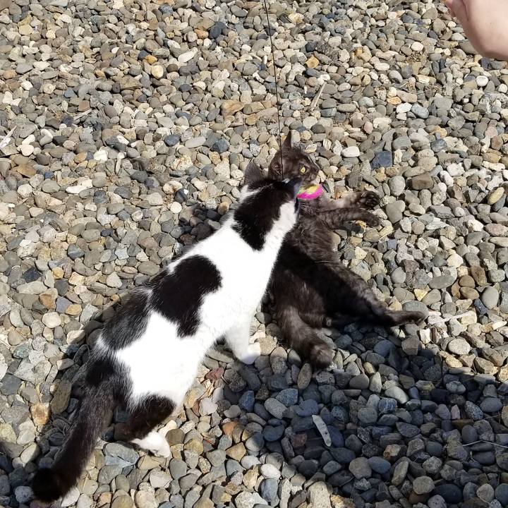 00692ec1 0bfb 4960 900d 679f232862a1 1585975891056