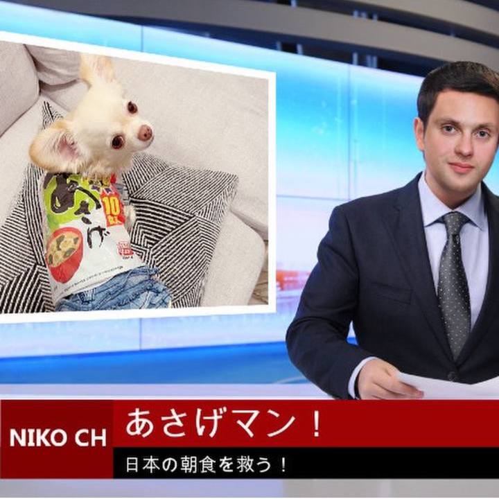 006947cf 1c57 4b13 a5db ee98c8878bc5 1728393693319