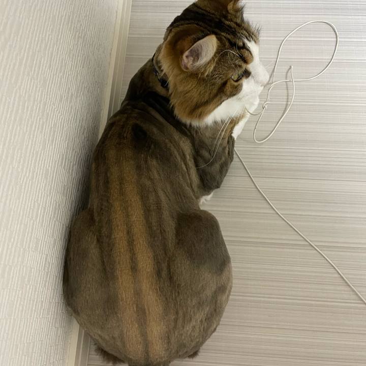 00695f13 e16a 40a5 b79a f077b8f151b3 1658749301298