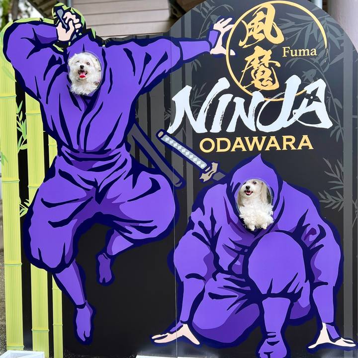 0069a031 91cc 45fd 8910 8f4e347416e0 1688809441377