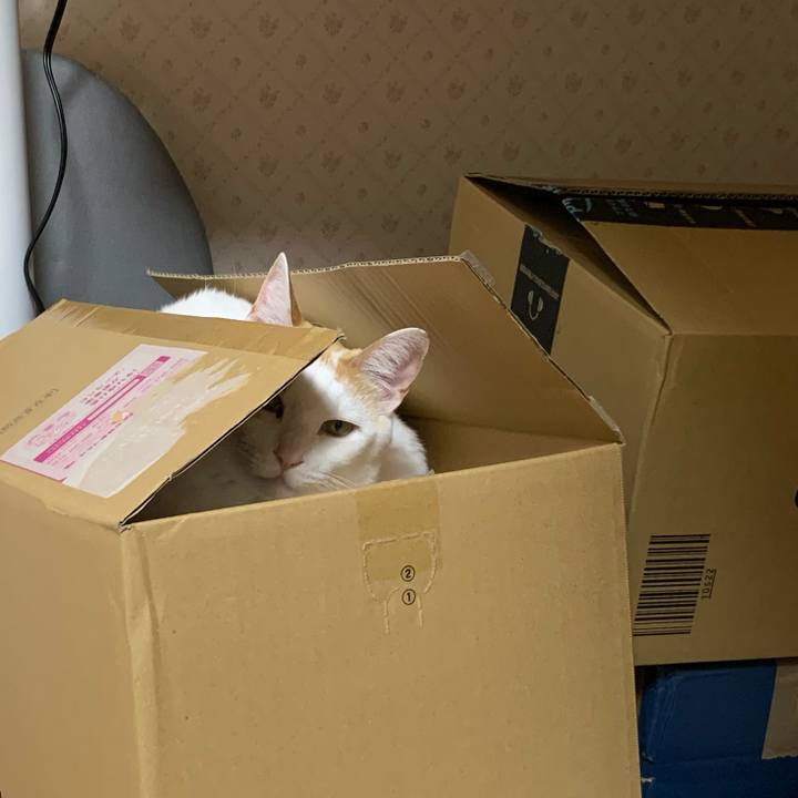 0069fbf2 3b7d 466d ae3e 87de64cbf795 1614775850893