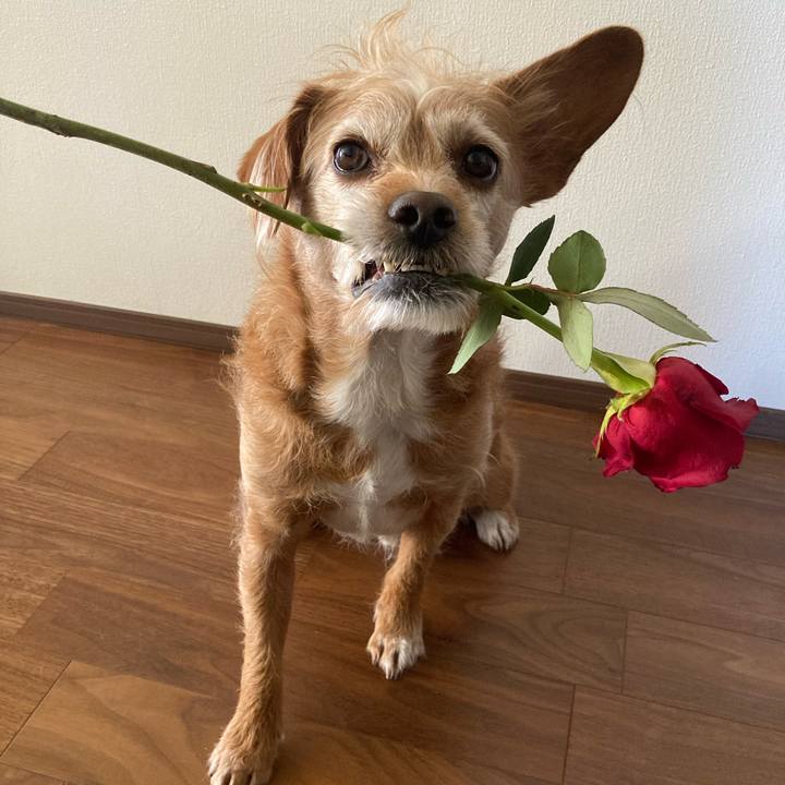 006a01da 908c 4604 acd1 2fc245aad6fd 1707868942345