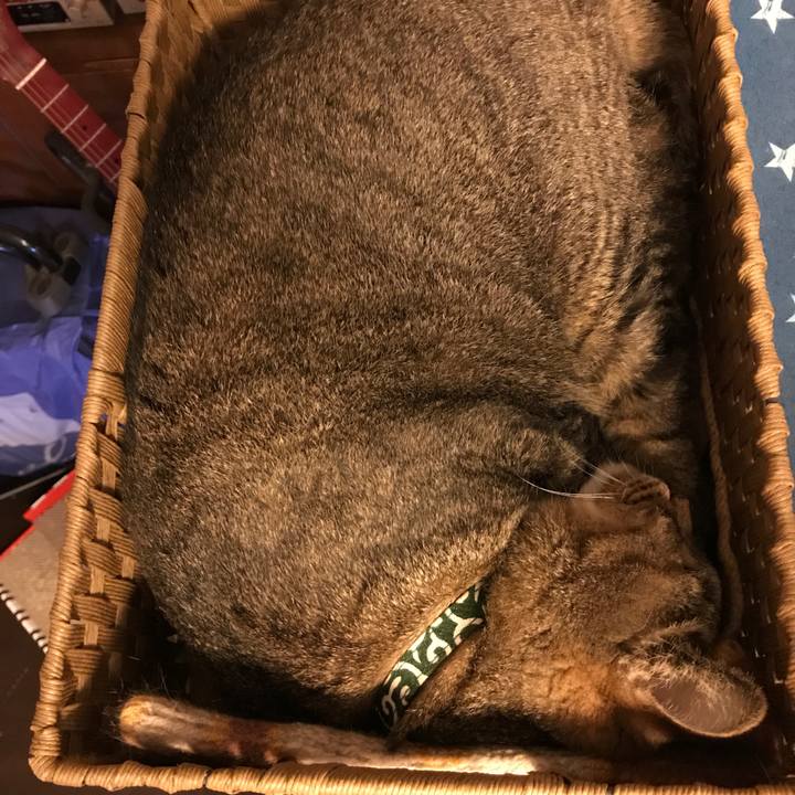 006a0a31 e190 4cd9 b6a6 55d6e81e41d8 1562800906176