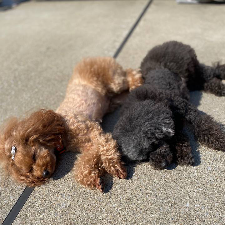 006a1c8e 14d4 4ce5 95a3 0c82c8189785 1584747730110