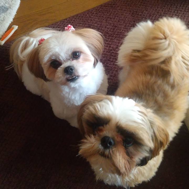 006a3bef 304b 4b86 a08d b7cf319d12e2 1575356387370