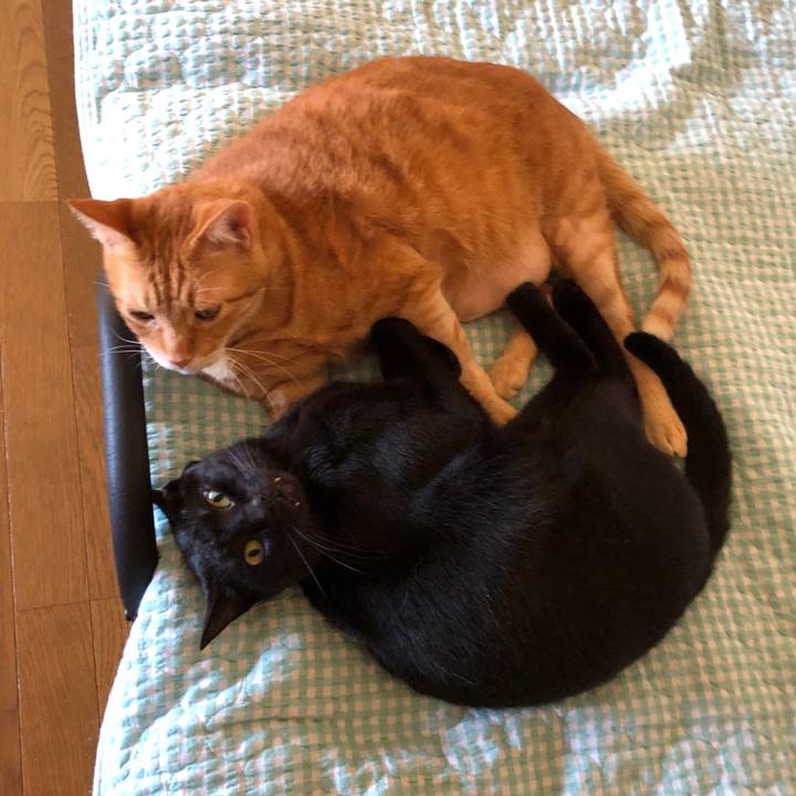 006a878d 4f58 453d 8154 0d194369844f 1725362667927