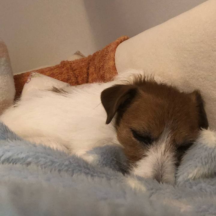 006ac72b b363 4933 84b8 39c0cc08a96e 1581239476962