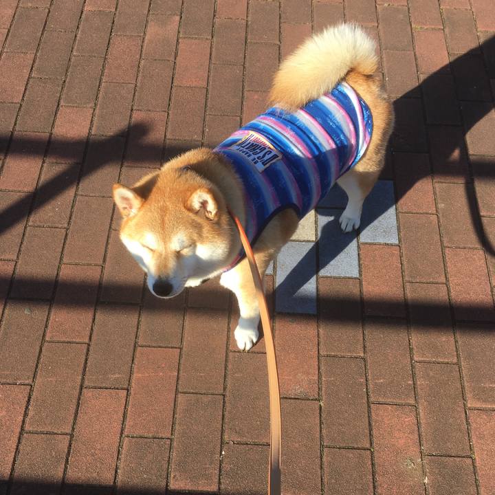 006acd77 a065 45ae a360 fcda13259a0d 1546665459113