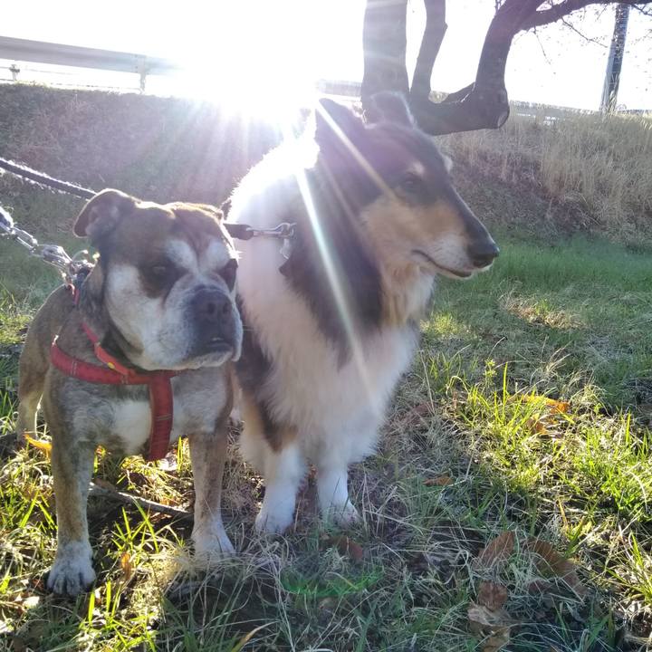 006ad39e b8f8 474f 9268 c054cf90223a 1554256867747