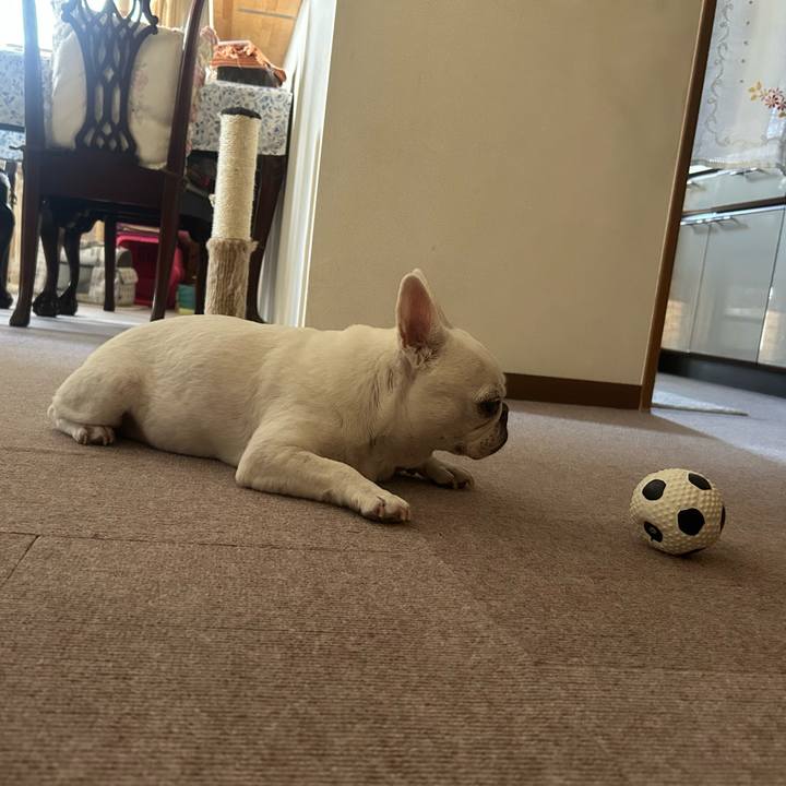 006b06a5 454d 4333 be80 7399494a2c2c 1758954596097