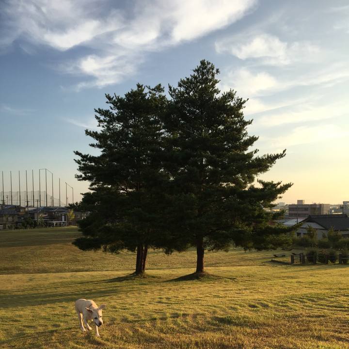 006b494d 41c7 47e5 b87b e00dc51b5764 1566964663410