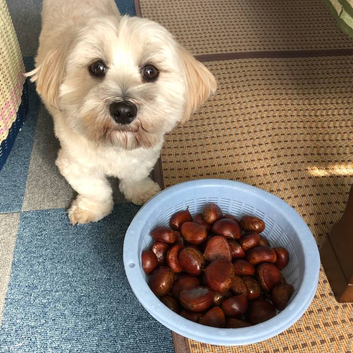 006b4e23 9c77 4ecb 9128 7f24b8e37a43 1509716427904