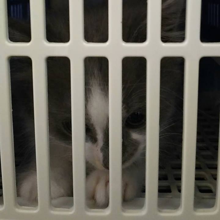 006b5ac4 fc79 407c 8dcd 4c87b345ce32 1560757886375