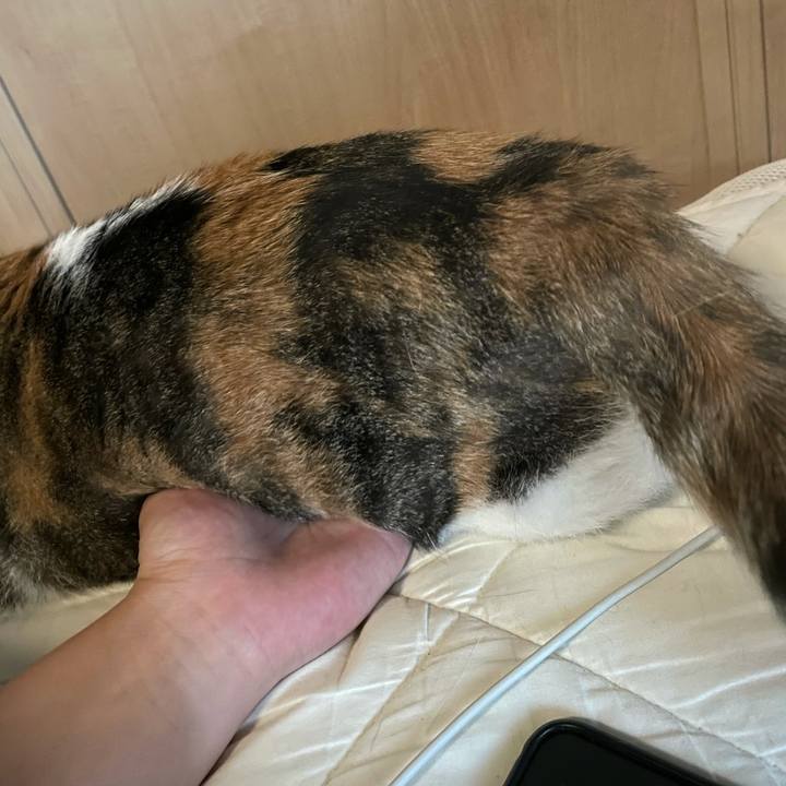 006b6b13 e2b5 4483 85c2 a413a6ee70cd 1633047500355