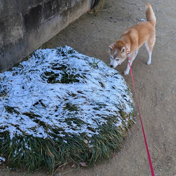 006b7655 d52f 4862 9547 dd25186252bc 1770601578159