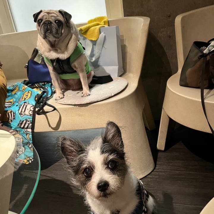 006b81b2 cd20 44a6 aa57 26f687041bbe 1760781969682