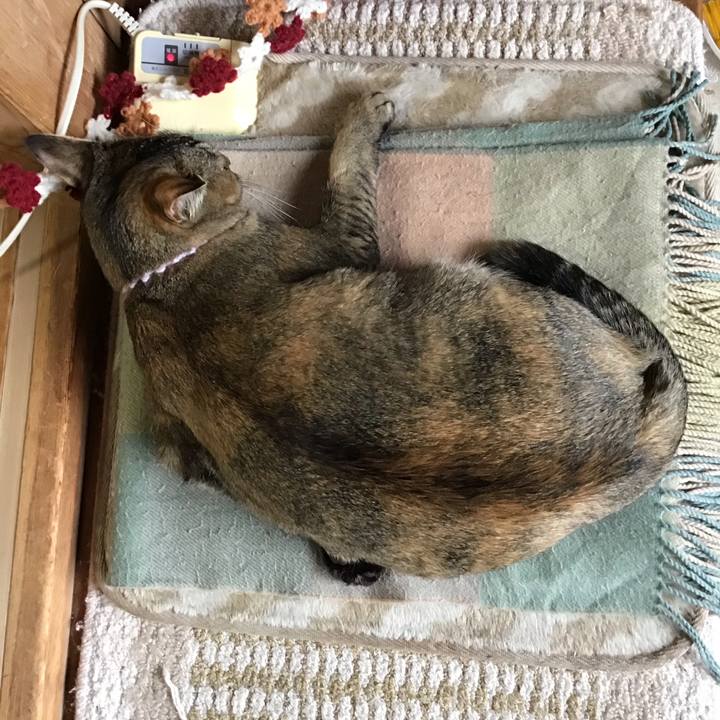 006c1d8c d04c 4a7d 86cd 7fbed39366e1 1587183367065