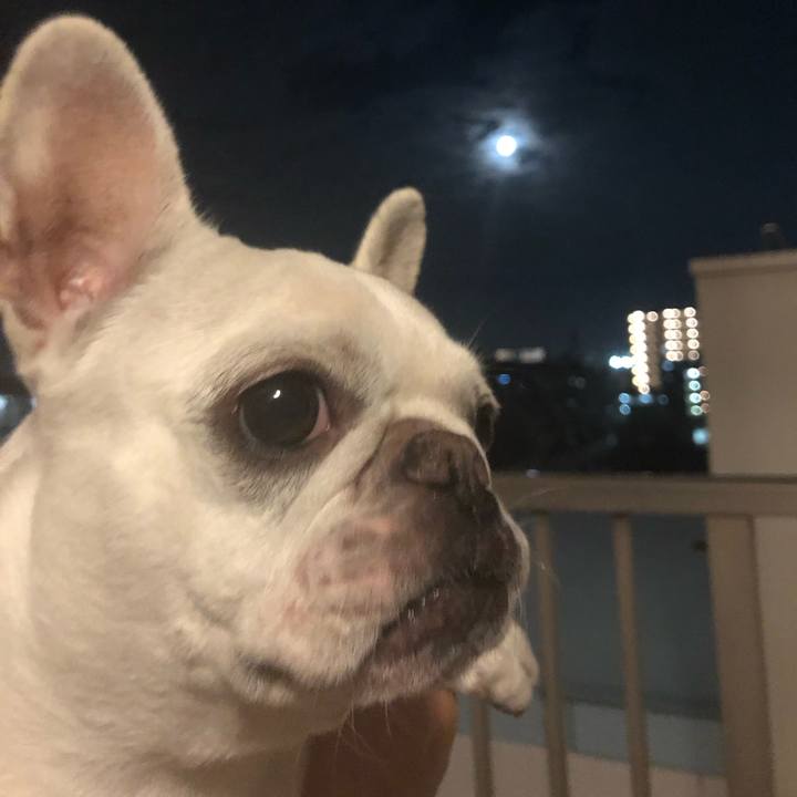 006c449f 0349 40c6 80db 4887442089fa 1632219658229