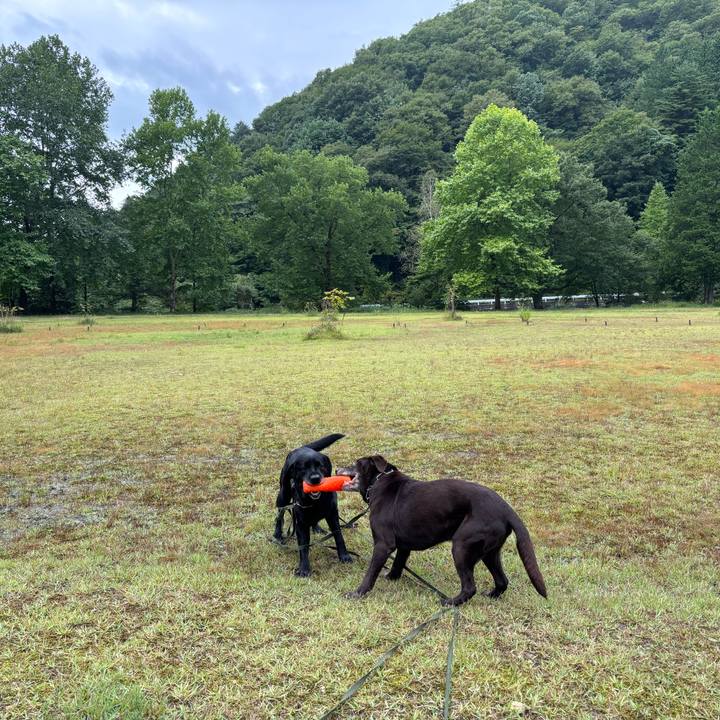 006c77e6 9f43 417b b00e 22aa9ad49968 1757837153834