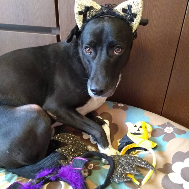 006c7a19 08b0 4be1 bb30 ae2659bf6021 1604022782139