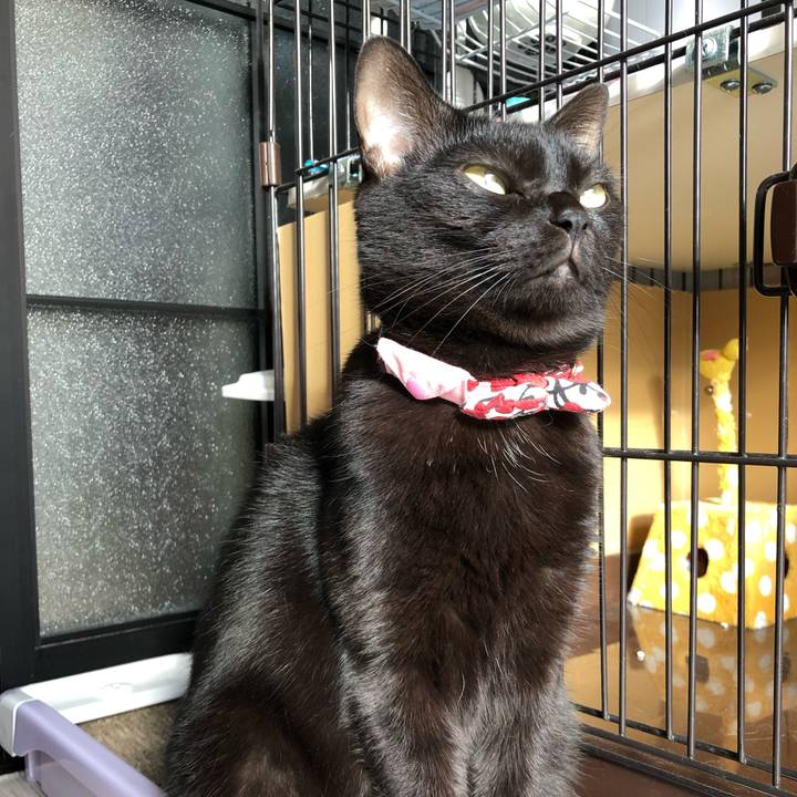 006cd1f8 2395 475f 8364 819c464c40e6 1571266224357