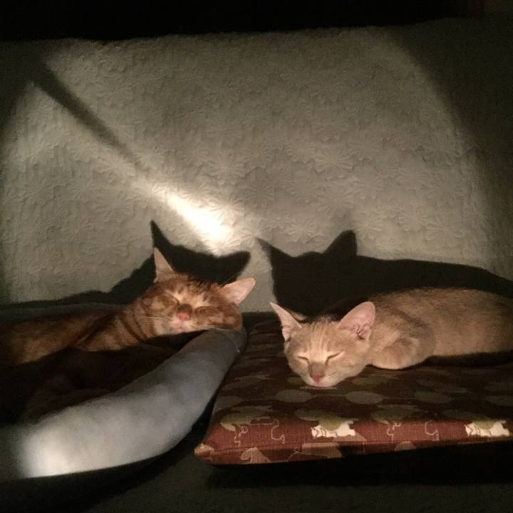 006ce6b2 5db5 4e43 80fc 3c225f1f969c 1536496923694