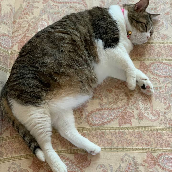 006cf4e4 e16e 43bb a929 609f34592952 1661042838504