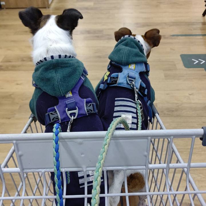 006d0341 7418 4df4 bb1d cf6d98e936a3 1639906475422