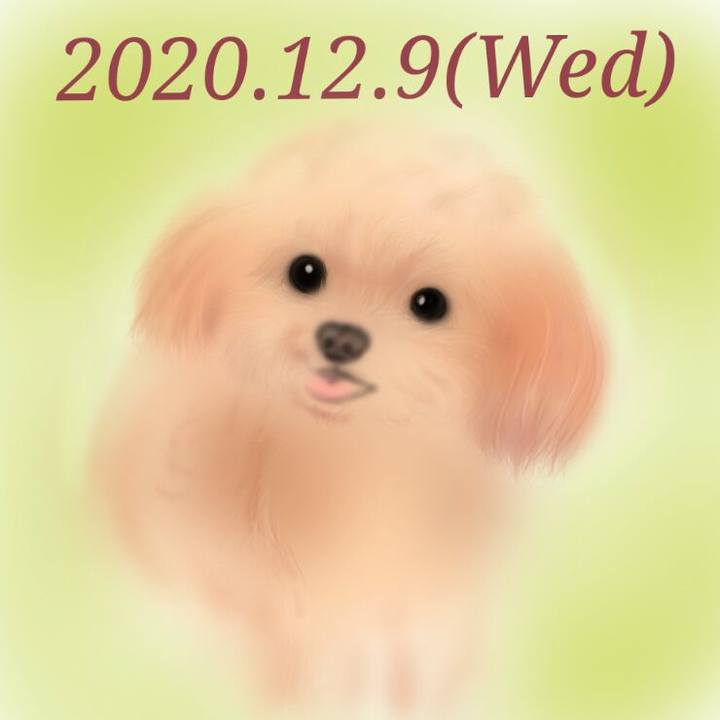 006d87a7 47fe 4441 8e18 ddcc752365e5 1607516222699