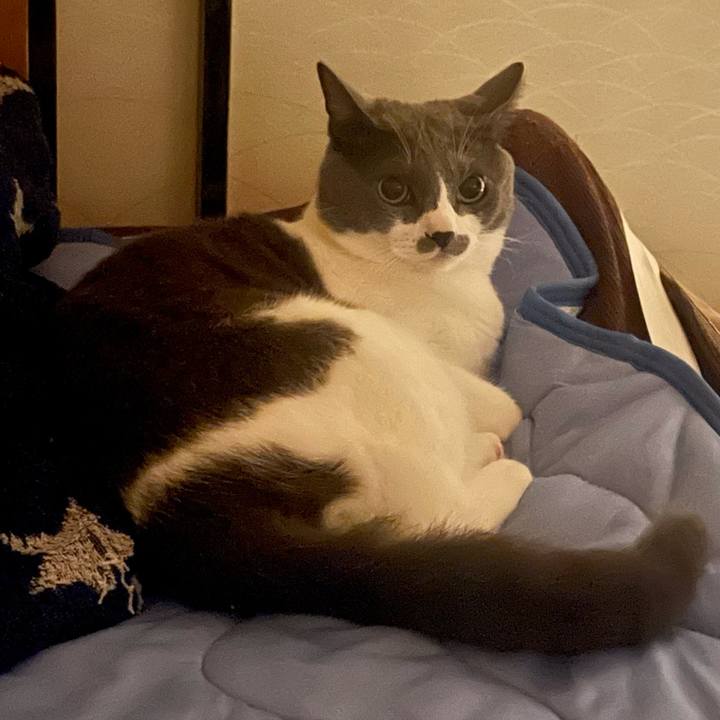 006db39b 7a3b 4ce9 bcc2 28a9f8cf5bcf 1629145860838