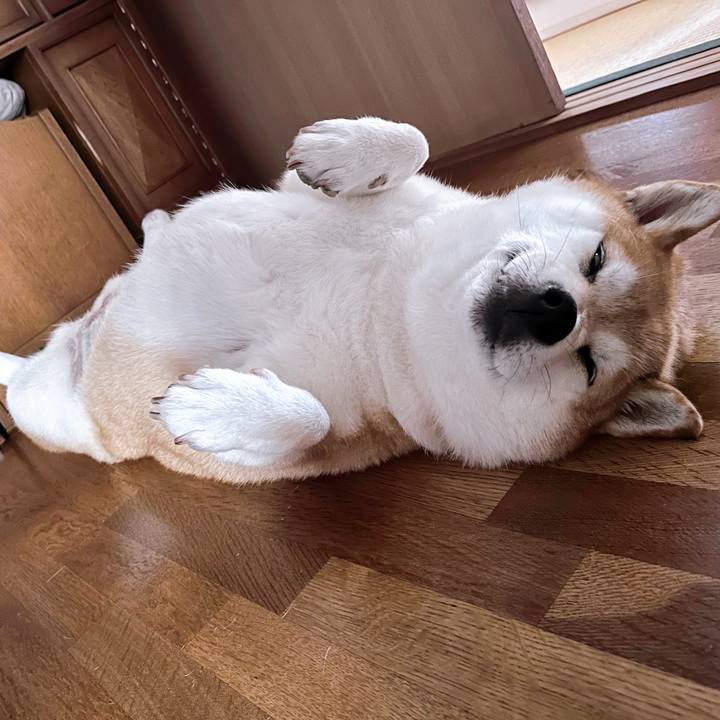 006db72b 7c5d 4ec9 878a 53a79b7e0e36 1693348173254