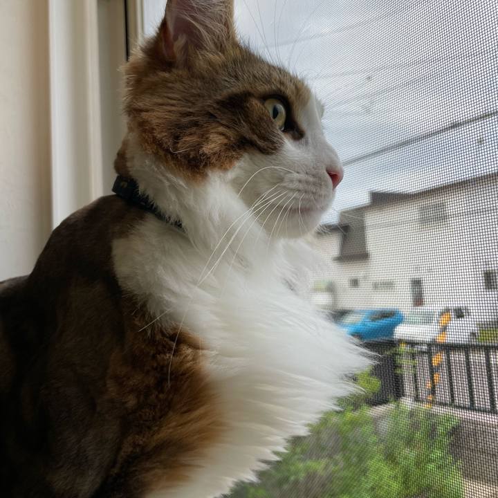 006dbb20 0351 4416 bfa9 85e3cd2c7fad 1658780380946