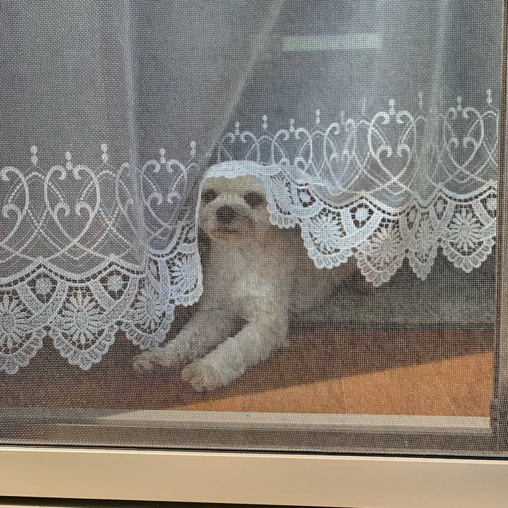 006dcbad e183 4b9b 8fc5 40dbede677ac 1683199240237