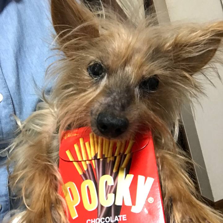 006e0208 61da 4d1c b457 cb2a531ffa29 1605084489140