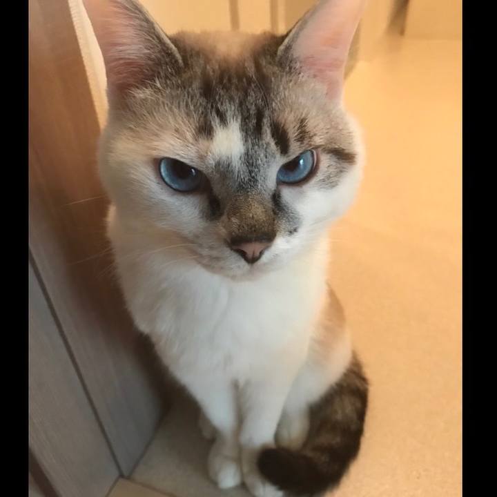 006e6c8f 8213 49db bf83 c9a67c6e98a0 1525577873044