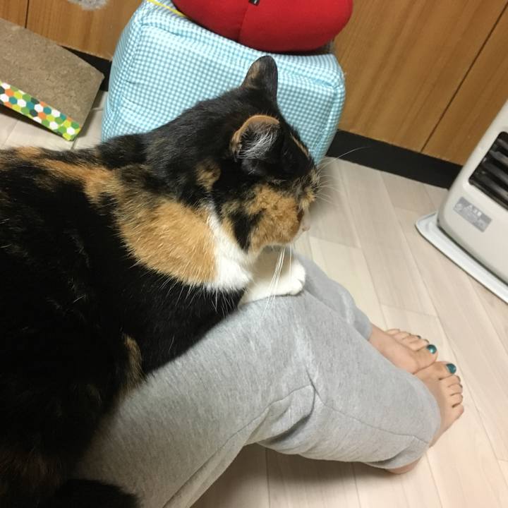 006e8abb 0729 42b0 8796 7644c982f766 1516551978424