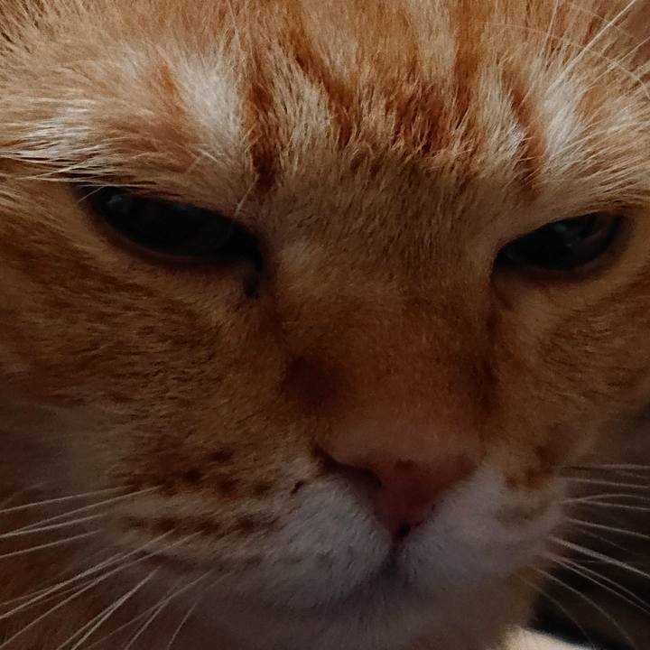 006e8df2 f8cc 4376 9158 f4efcbe48bad 1576022511281