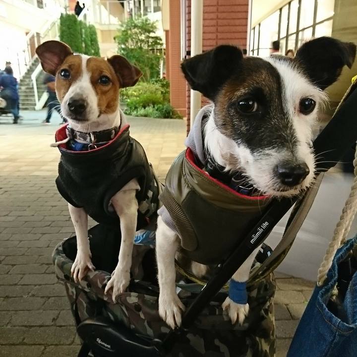 006eed3b 7a1a 4179 a621 676c9f4b5083 1546333831320