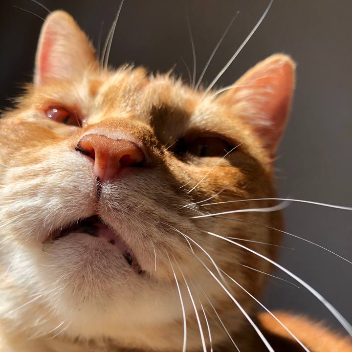 006f2c2f c5e9 440b 8969 6590429fd0ef 1654552980575