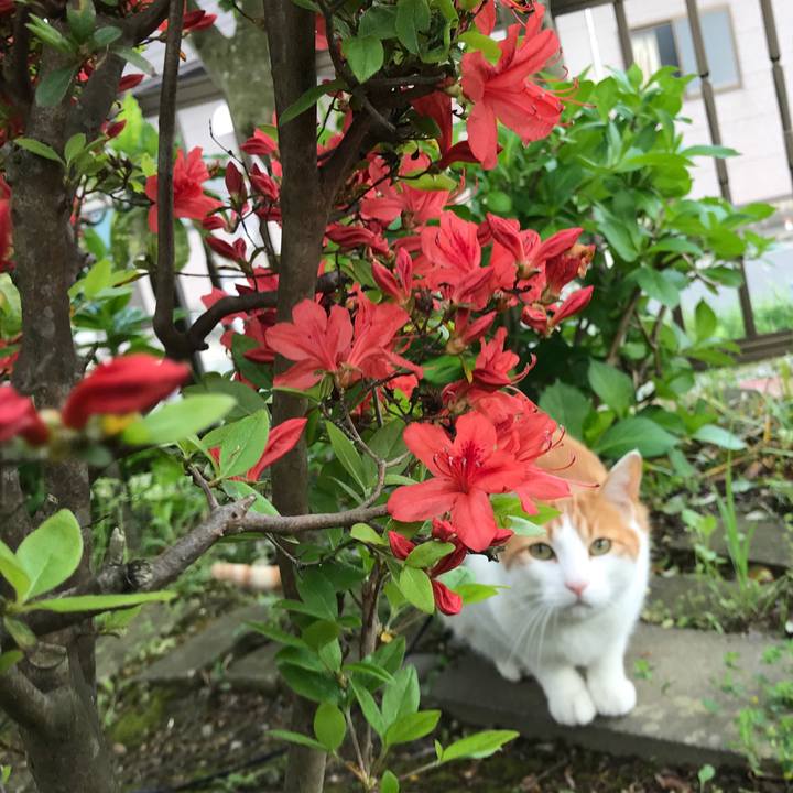 006fb39c a5ea 477d b5aa e06f18fcbe2c 1525417596331