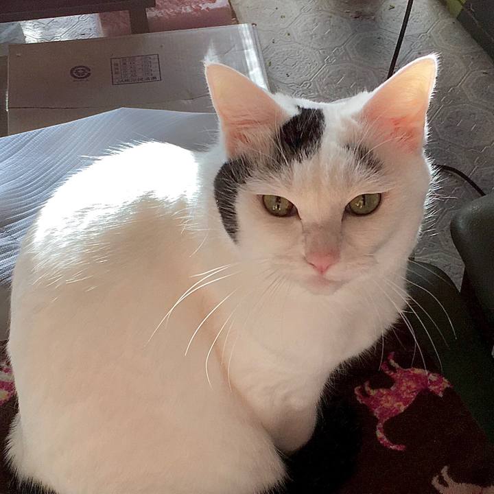 006feaef 6dee 4695 9d48 1611f780caf7 1575641400098