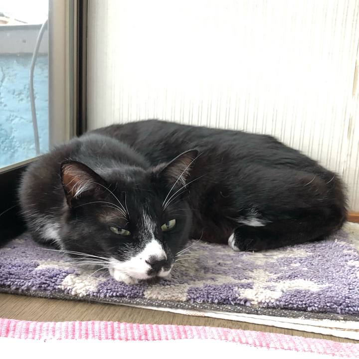 006ff29d 5446 4a62 8e57 f9405e5110d2 1593575312677