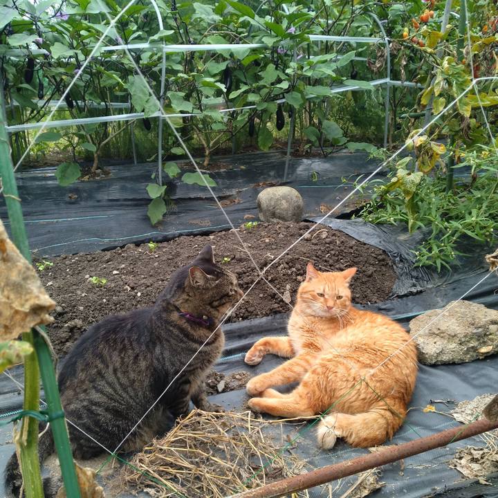 006ff843 83a5 4501 bb84 d75aafad7660 1757492324248