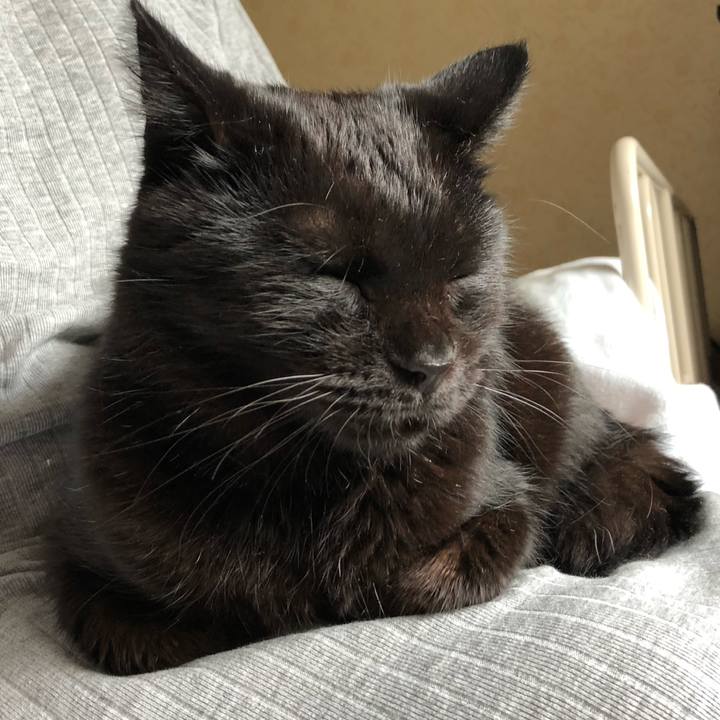 007029b3 85e6 4936 8b91 3bc442277247 1568927896020