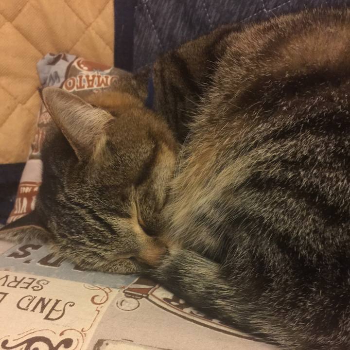 0070972e 3ec7 4342 a60c 762b7fb95143 1553010883775