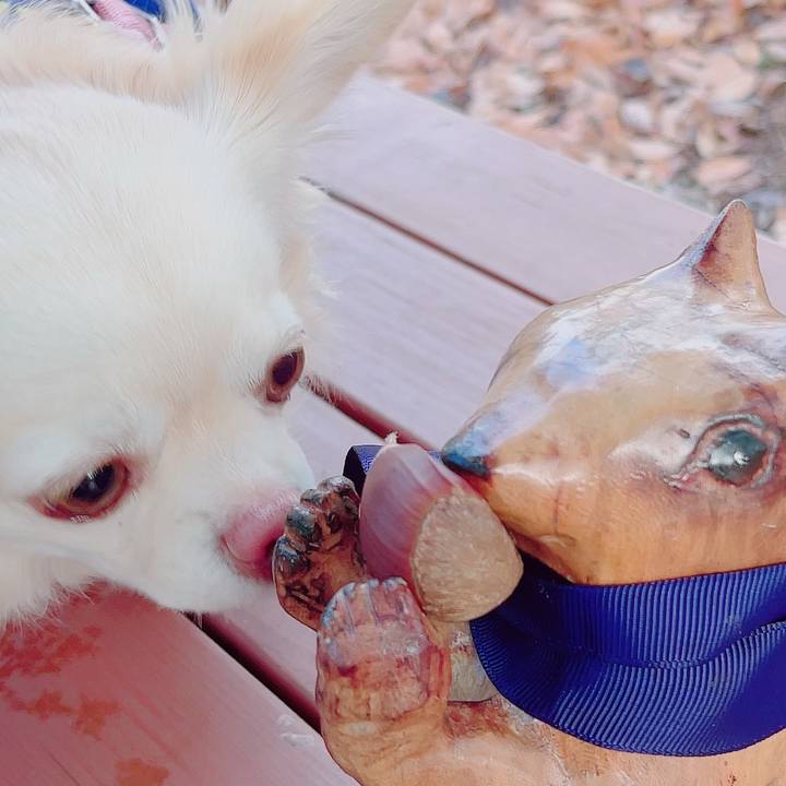 0070a0e1 9c5f 4698 be3f b1a6b67e574c 1704185846928