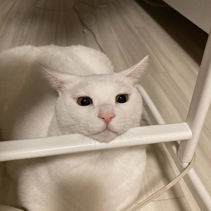 0070b81f abb0 4019 a9d5 54035a83630e 1714628669456